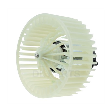 Fan Motor