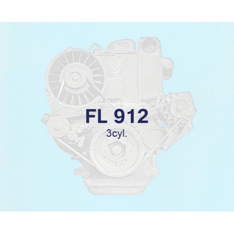Motorsatz FL 912 3 cylinder