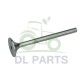 Exhaust Valve