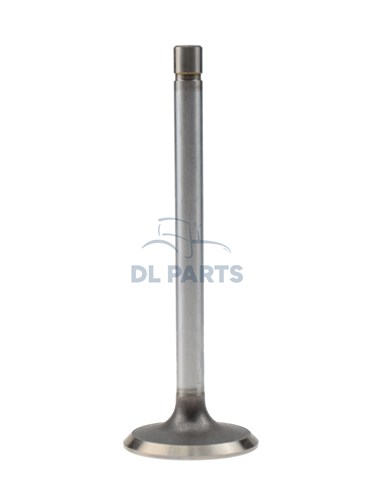 Exhaust valve