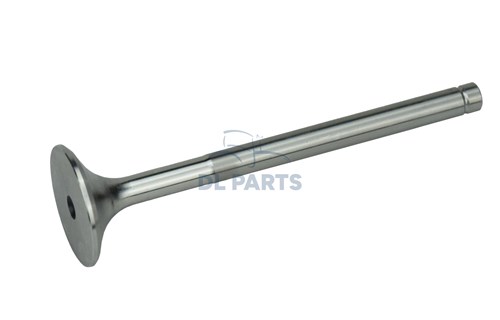 Exhaust Valve